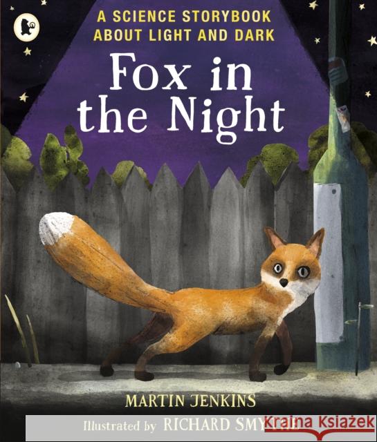 Fox in the Night: A Science Storybook About Light and Dark Martin Jenkins Richard Smythe  9781406379754 Walker Books Ltd - książka