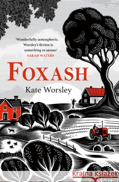 Foxash: 'A wonderfully atmospheric and deeply unsettling novel' Sarah Waters Kate Worsley 9781472294876 Headline Publishing Group - książka