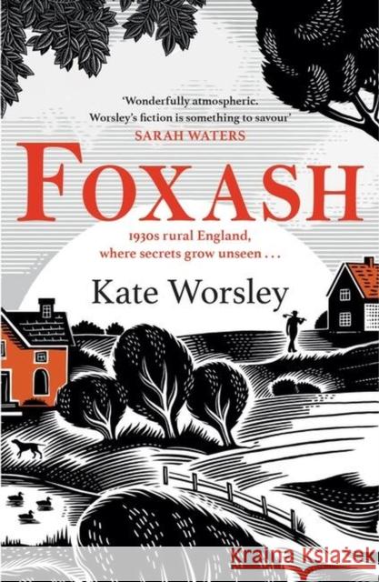 Foxash: 'A wonderfully atmospheric and deeply unsettling novel' Sarah Waters Kate Worsley 9781472294913 Headline Publishing Group - książka