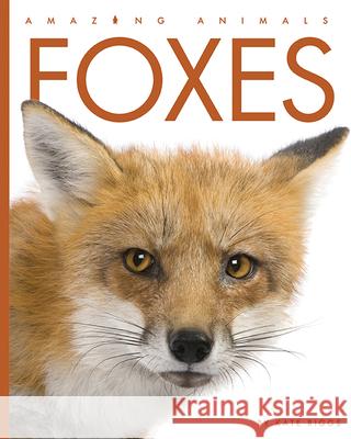 Foxes Kate Riggs 9781640265110 Creative Education - książka