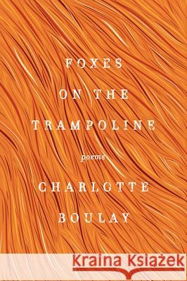 Foxes on the Trampoline Charlotte Boulay 9780062302496 Ecco Press - książka