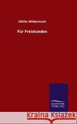 Für Freistunden Ottilie Wildermuth   9783846082614 Salzwasser-Verlag Gmbh - książka
