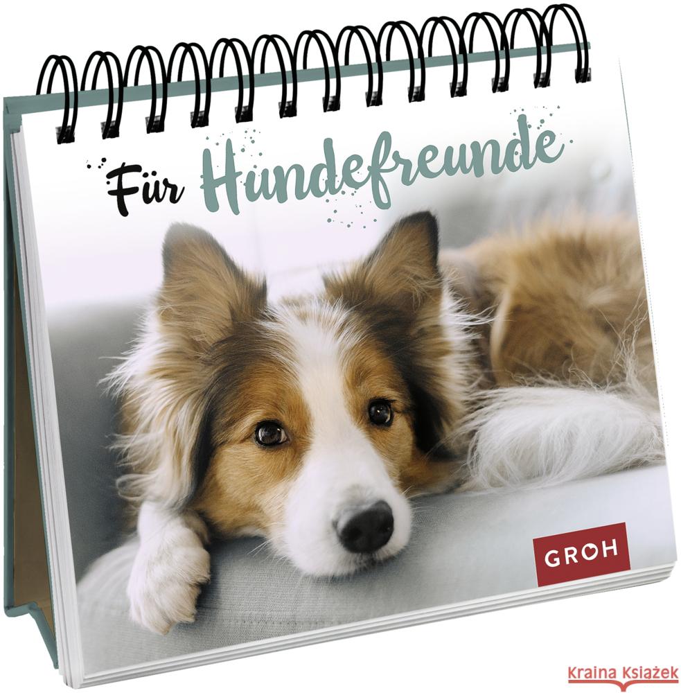 Für Hundefreunde Groh Verlag 9783848500482 Groh Verlag - książka