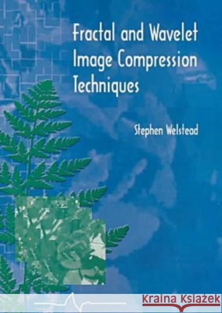 Fractal and Wavelet Image Compression Techniques  9780819435033 SPIE Press - książka