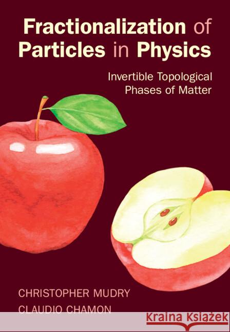 Fractionalization of Particles in Physics: Invertible Topological Phases of Matter Christopher (Dr, Paul Scherrer Institute, Villigen, Switzerland) Mudry 9781107009547 Cambridge University Press - książka