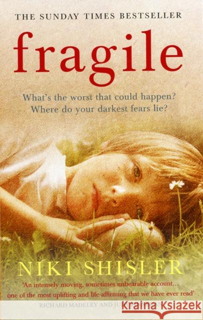 Fragile : What's the worst that could happen? Where do your darkest fears lie? Niki Shisler 9780091910006 EBURY PRESS - książka