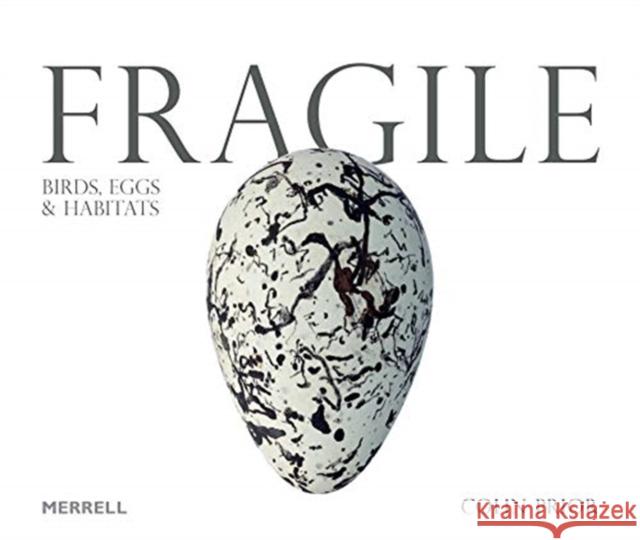 Fragile: Birds, Eggs & Habitats Colin Prior 9781858946887 Merrell - książka