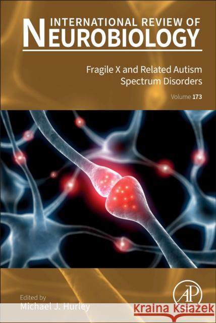 Fragile X and Related Autism Spectrum Disorders  9780443137297 Elsevier Science Publishing Co Inc - książka