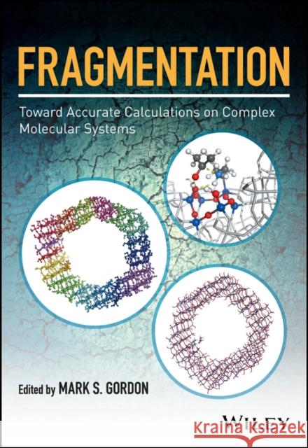 Fragmentation: Toward Accurate Calculations on Complex Molecular Systems Gordon, Mark S. 9781119129240 John Wiley & Sons - książka