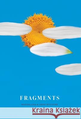 Fragments Magdalena Stevens Ashe Stevens 9781737952404 Anounymous Inc - książka