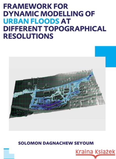 Framework for Dynamic Modelling of Urban Floods at Different Topographical Resolutions: Unesco-Ihe PhD Thesis Seyoum, Solomon D. 9781138000483 CRC Press - książka