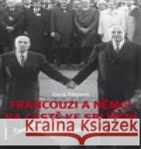 Francouzi a Němci na cestě ke sblížení Lucie FilipovÃ¡ 9788020022172 Academia - książka