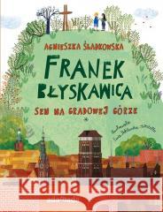 Franek Błyskawica. Sen na Gradowej Górze Agnieszka Poklewska-Koziełło 9788381186421 Adamada - książka