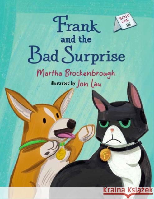 Frank and the Bad Surprise Martha Brockenbrough Jon Lau 9781646145003 Levine Querido - książka