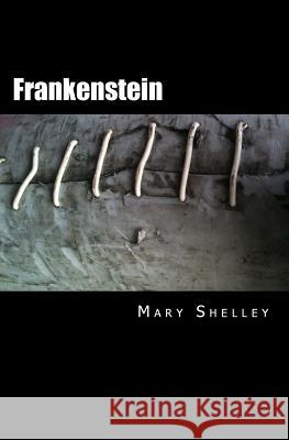 Frankenstein Mary Shelley 9780994376640 Thalassic Press - książka