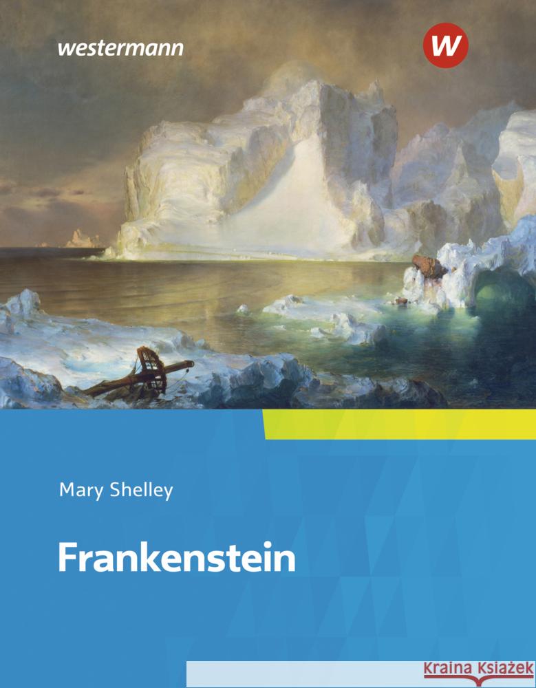 Frankenstein Shelley, Mary Wollstonecraft 9783425736235 Diesterweg - książka