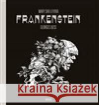 Frankenstein Georges Bess 9788025738146 Argo - książka