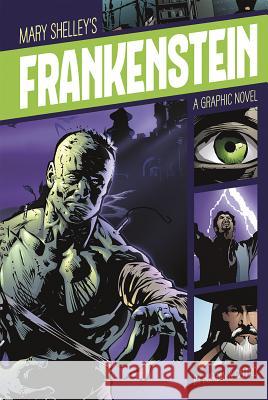 Frankenstein: A Graphic Novel Shelley, Mary 9781496500281 Stone Arch Books - książka