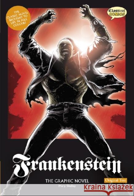 Frankenstein The Graphic Novel: Original Text Mary Wollstonecraft Shelley 9781906332150 Classical Comics - książka