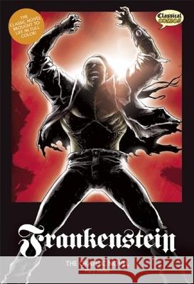 Frankenstein the Graphic Novel: Original Text Shelley, Mary 9781907127397 Classical Comics - książka