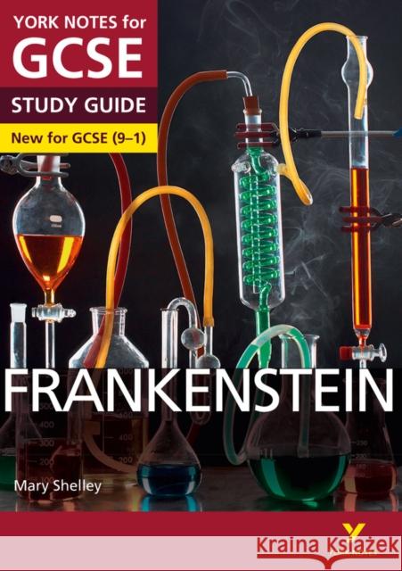 Frankenstein York Notes GCSE English Literature Study Guide - for 2026, 2027 exams Fairbairn-Dixon, Alexander 9781447982142 Pearson Education Limited - książka