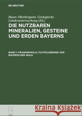 Frankenwald, Fichtelgebirge Und Bayerischer Wald Arndt, Haf-Sargans, Henrich-Erlangen, Laubmann 9783486754117 Walter de Gruyter - książka