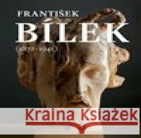 František Bílek (1872-1941) Hana Larvová 9788070101704 Galerie hl. města Prahy - książka