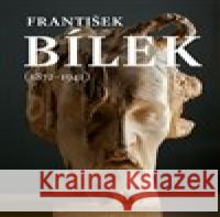 František Bílek (1872-1941) Hana Larvová 9788070101797 Galerie hl. města Prahy - książka