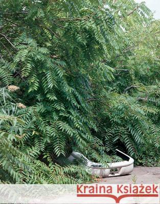 Franziska Klose: Detroit: Field Notes from a Wild City Franziska Klose 9783959054683 Spector Books - książka