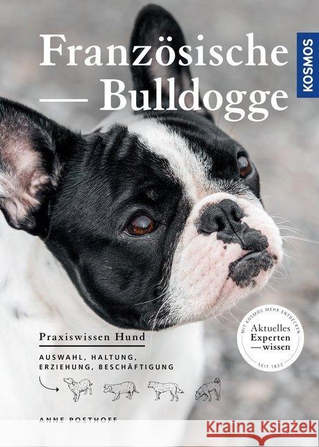 Französische Bulldogge Posthoff, Anne 9783440162965 Kosmos (Franckh-Kosmos) - książka