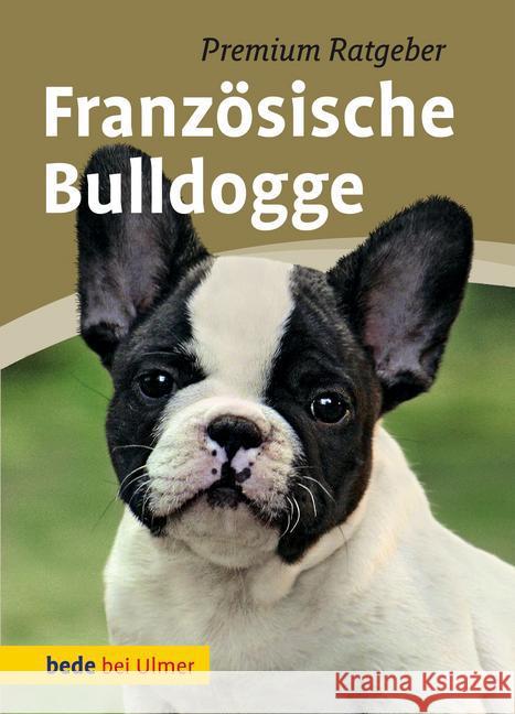 Französische Bulldogge Schmitt, Annette 9783800179565 Bede - książka