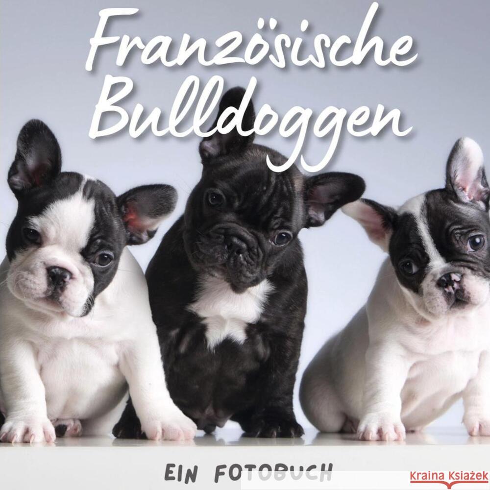 Französische Bulldoggen Hübsch, Bibi 9783750514409 27amigos - książka