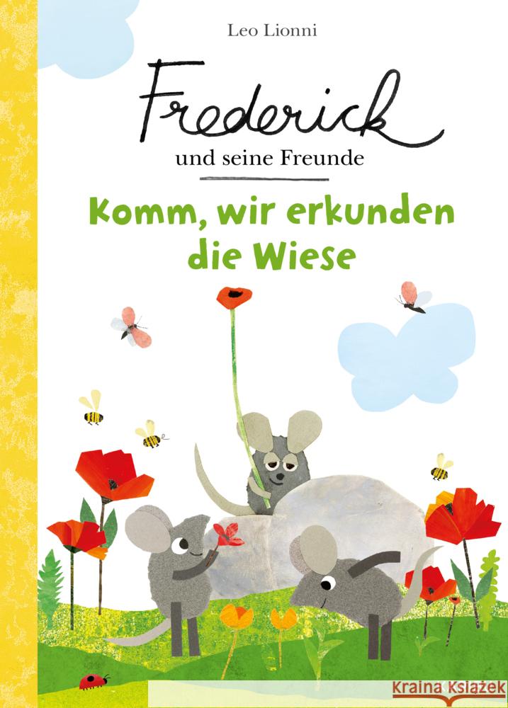Frederick und seine Freunde - Komm, wir erkunden die Wiese Lionni, Leo 9783961294466 Karibu - książka