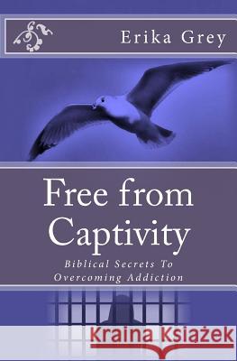 Free from Captivity: Biblical Secrets To Overcoming Addiction Grey, Erika 9780979019944 Pedante Press - książka