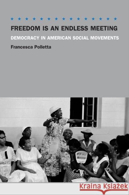Freedom Is an Endless Meeting: Democracy in American Social Movements Polletta, Francesca 9780226674490 University of Chicago Press - książka