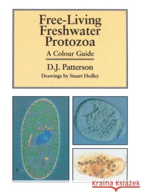 Freeliving Freshwater Protozoa D. Patterson 9781874545408 MANSON PUBLISHING LTD - książka