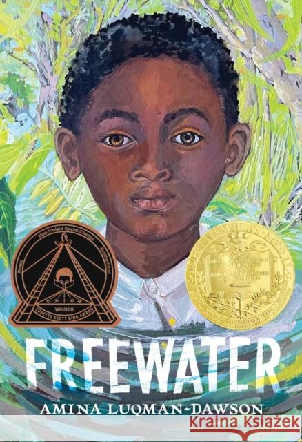 Freewater Amina Luqman-Dawson 9780316056618 Little, Brown Books for Young Readers - książka