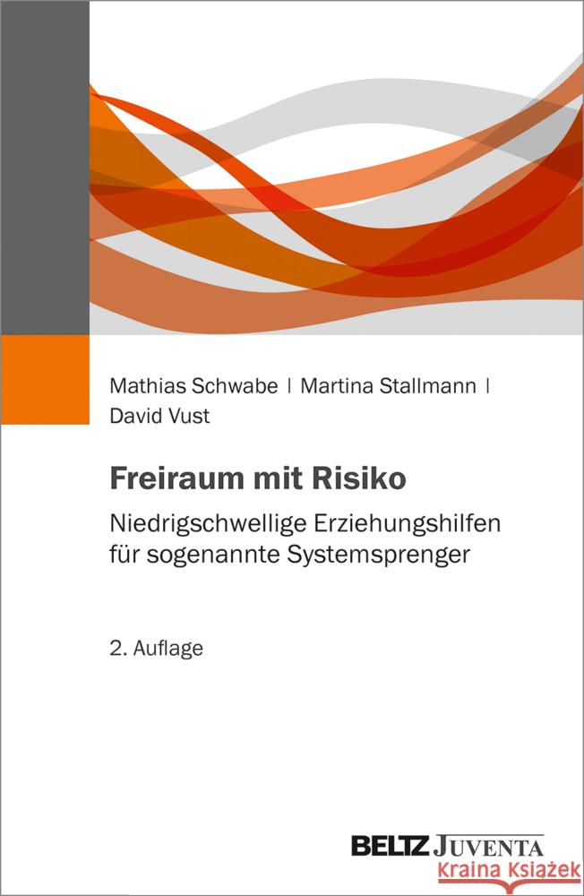 Freiraum mit Risiko Schwabe, Mathias, Stallmann, Martina, Vust, David 9783779964117 Beltz Juventa - książka