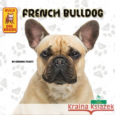 French Bulldog Corinne Fickett 9781039845527 Crabtree Seedlings - książka