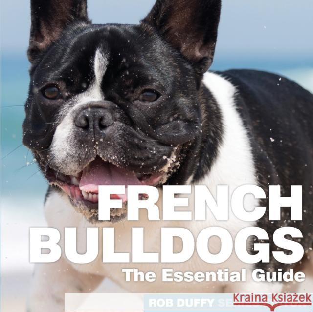 French Bulldogs: The Essential Guide Robert Duffy 9781910843383 Bxplans.Ltd - książka