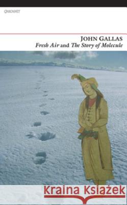 Fresh Air and the Story of Molecule John Gallas   9781784101121 Carcanet Press Ltd - książka