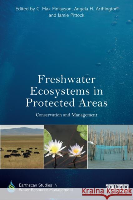 Freshwater Ecosystems in Protected Areas: Conservation and Management C. Max Finlayson Jamie Pittock Angela Arthington 9780415787147 Routledge - książka