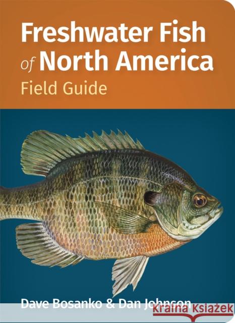 Freshwater Fish of North America Dave Bosanko Dan Johnson 9781647556068 Adventure Publications - książka