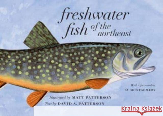 Freshwater Fish of the Northeast David A. Patterson 9781684582167 Brandeis University Press - książka