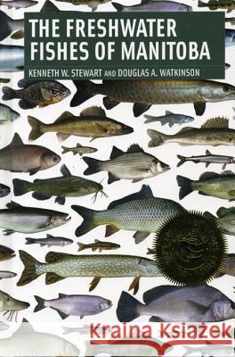 Freshwater Fishes of Manitoba Stewart, Kenneth 9780887556784 University of Manitoba Press - książka