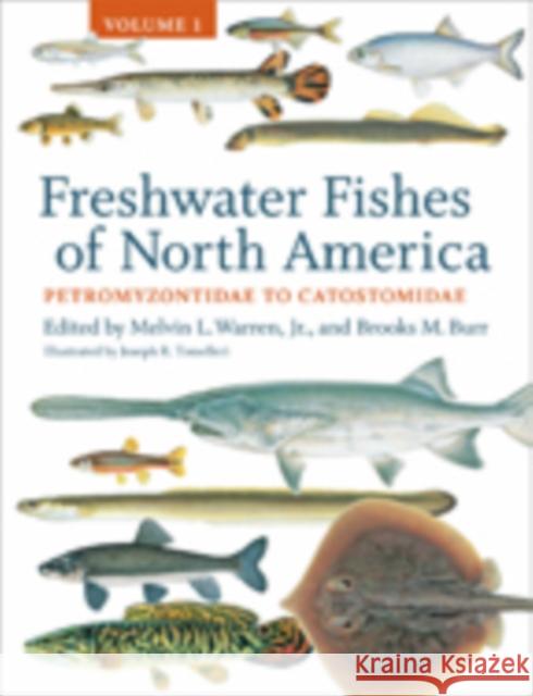 Freshwater Fishes of North America: Volume 1: Petromyzontidae to Catostomidae Warren, Melvin L. 9781421412016 John Wiley & Sons - książka