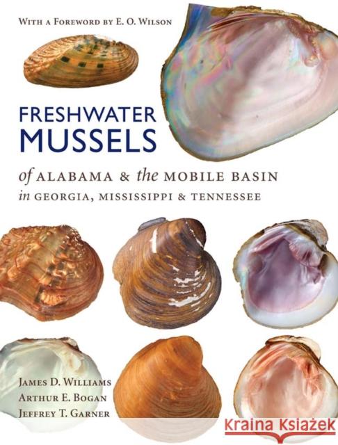 Freshwater Mussels of Alabama and the Mobile Basin in Georgia, Mississippi, and Tennessee James D. Williams Arthur E. Bogan Jeffrey T. Garner 9780817316136 University Alabama Press - książka