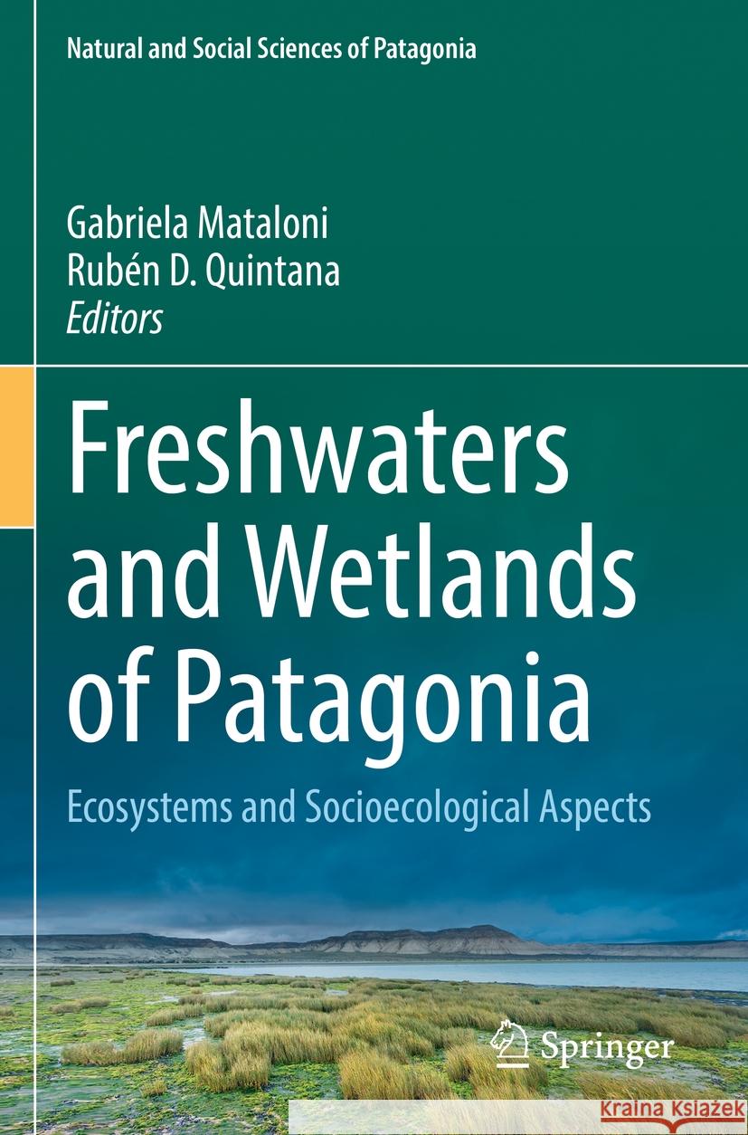 Freshwaters and Wetlands of Patagonia  9783031100291 Springer International Publishing - książka