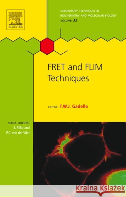Fret and Flim Techniques: Volume 33 Gadella, Theodorus W. J. 9780080549583 ELSEVIER SCIENCE & TECHNOLOGY - książka