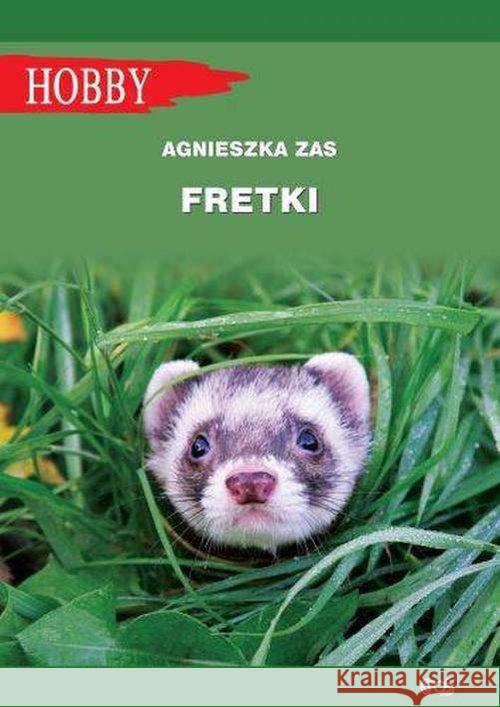 Fretki w.2018 Zas Agnieszka 9788363957865 Egros - książka